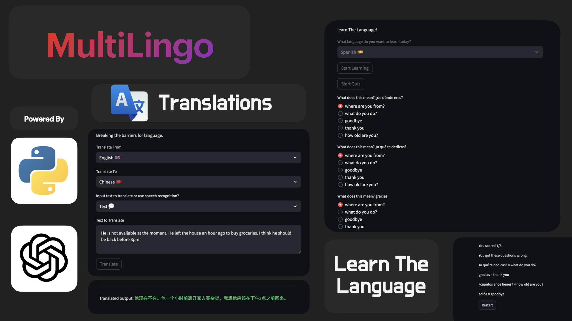 MultiLingo Application Interface