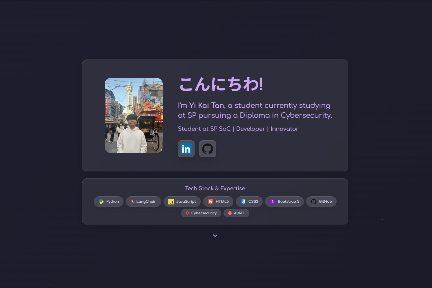 Portfolio 2.0 Website